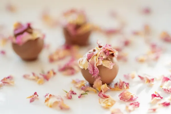 Casino Haiti Win Aip Android/iOS